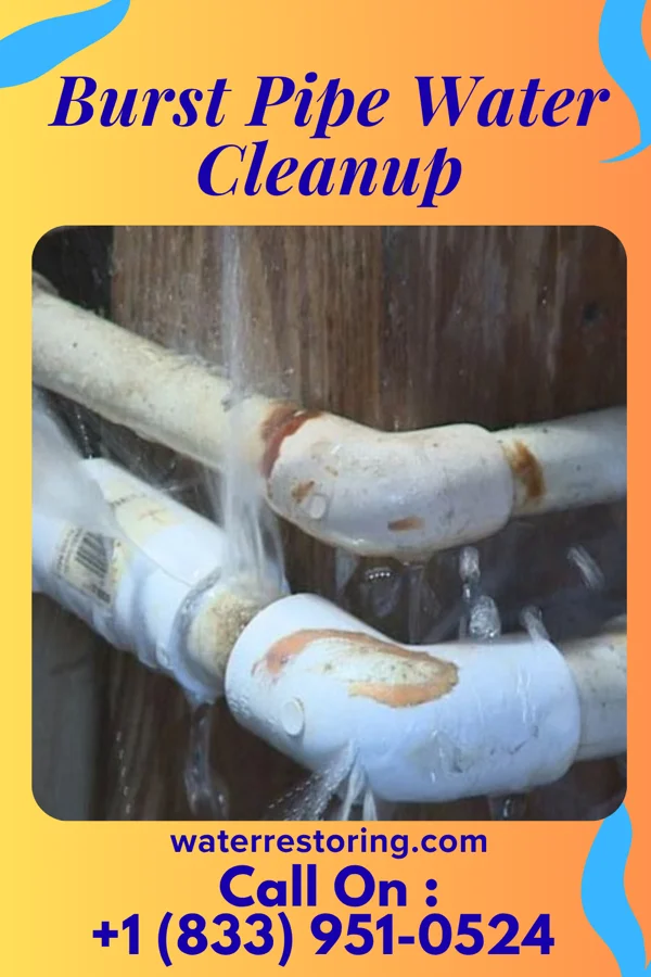 Burst Pipe Water Cleanup in Harwich Center, MA
