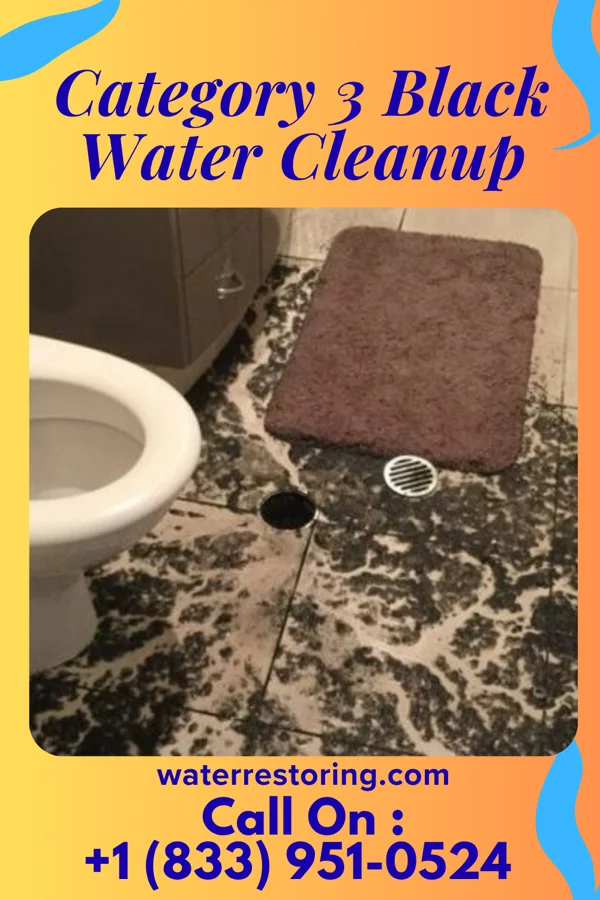 Category 3 Black Water Cleanup in Harwich Center, MA