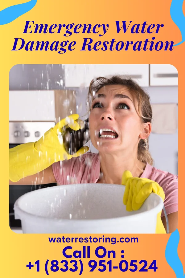 Emergency Water Damage Restoration in Harwich Center, MA